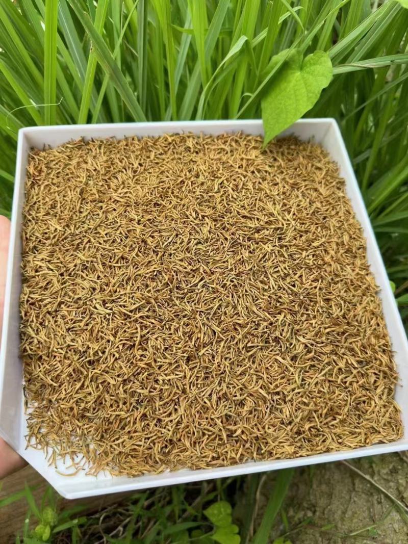 高山花香红茶浓郁花香批发产地发货量大优惠
