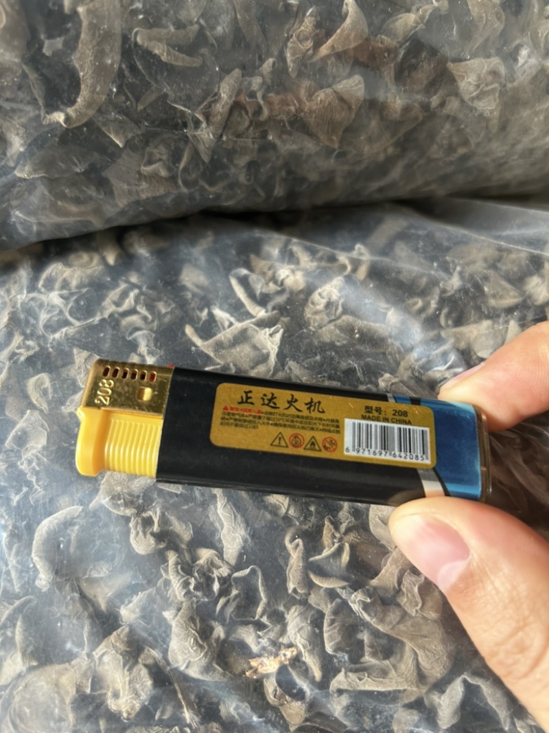 黑木耳液体菌棒，量大从优，大公司只挣场地费和人员工资。