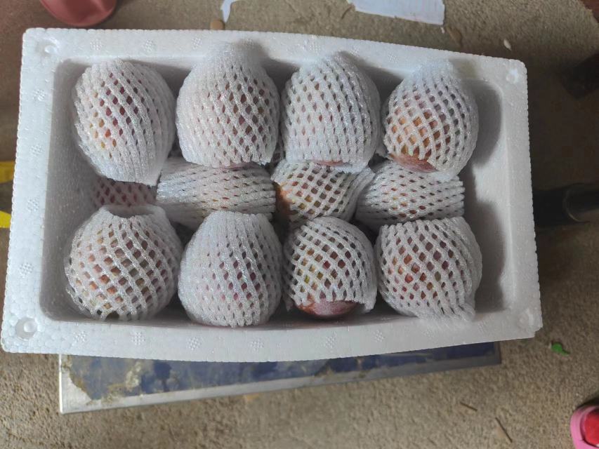 现代化分拣线上的古蔺李子,整齐码放在泡沫箱中准备打包发货 古蔺李子包装发货现场