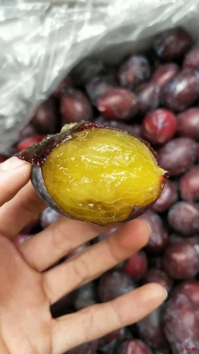 批发西梅李大量上市，量大的老板联系法兰西，