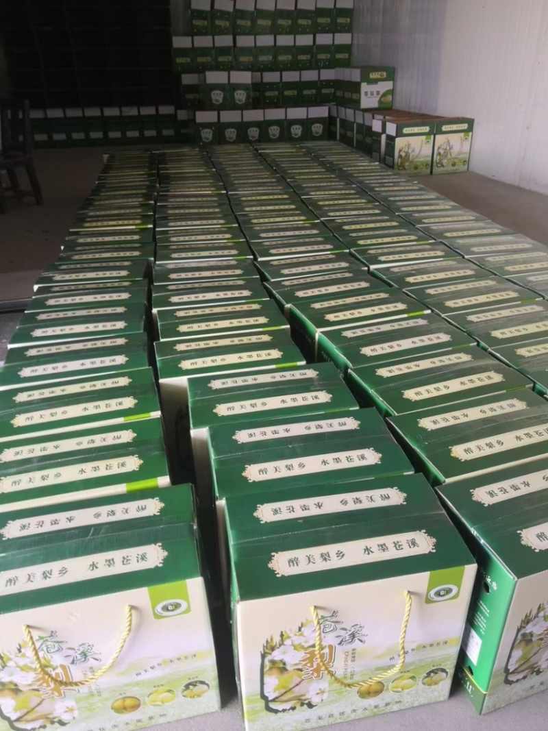 苍溪黄金梨大量上市欢迎前来购买