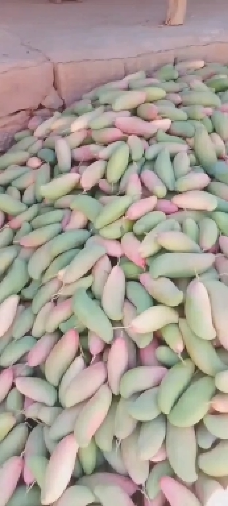 各种二级芒果，一级芒果。需要的联系