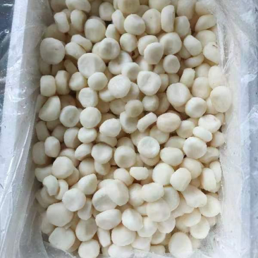 冷冻马蹄荸荠大量货源厂家直发冷链发货提前联系