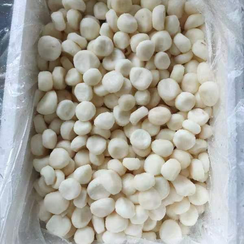 冷冻马蹄荸荠大量货源厂家直发冷链发货提前联系
