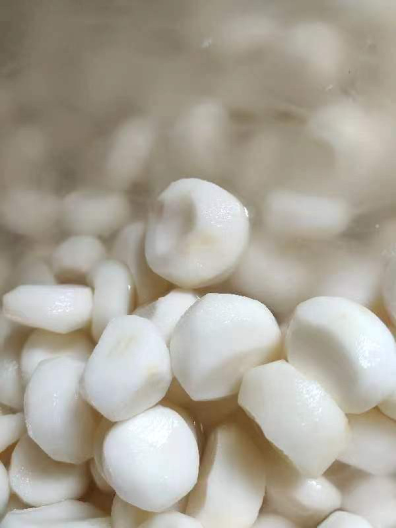 冷冻马蹄荸荠大量货源厂家直发冷链发货提前联系