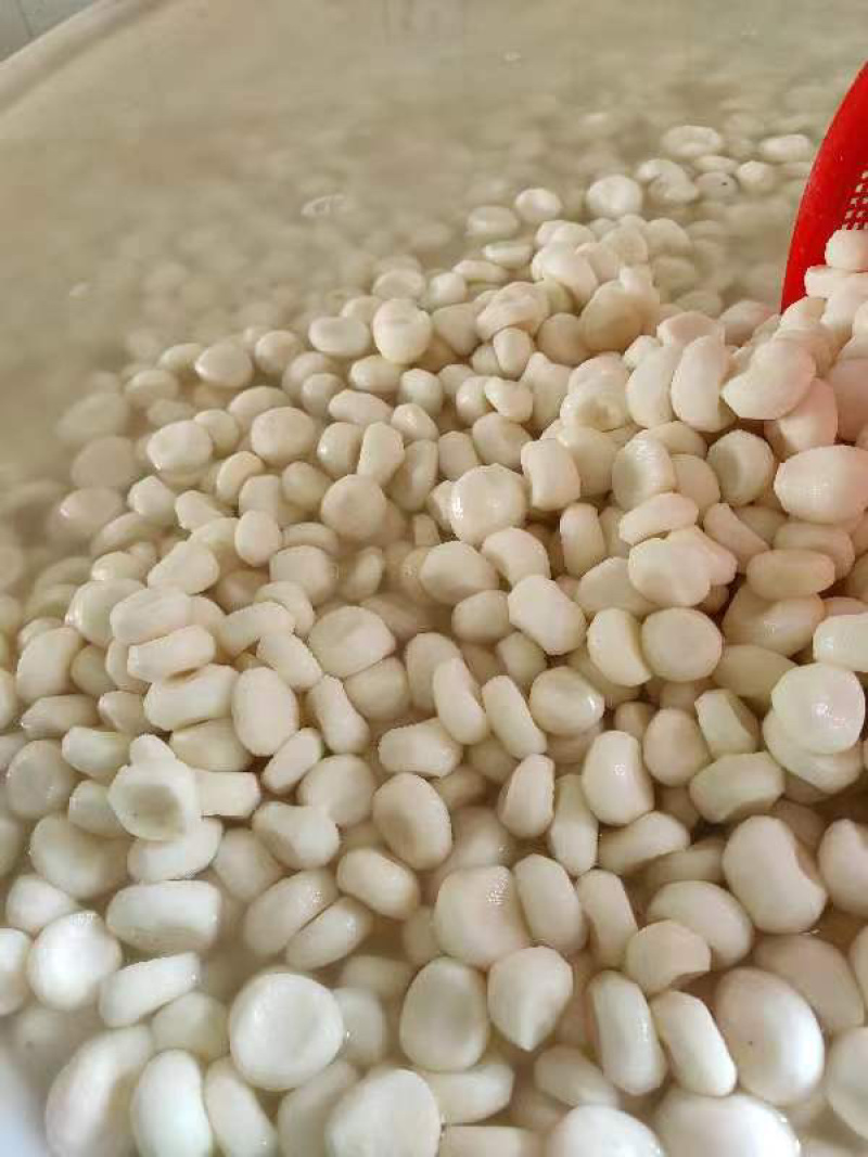 冷冻马蹄荸荠大量货源厂家直发冷链发货提前联系