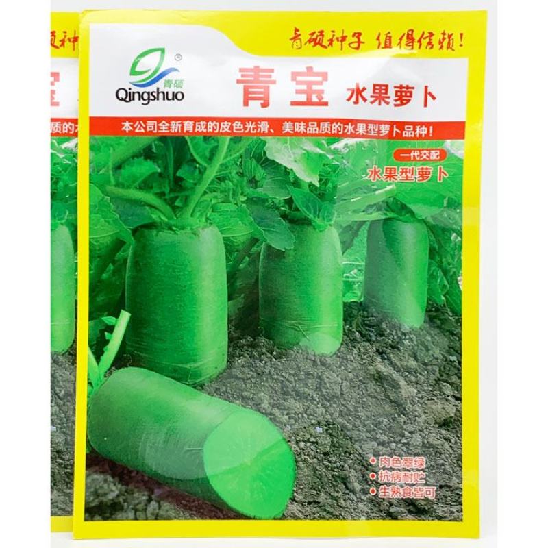 青宝水果萝卜种子青皮青肉圆筒型青萝卜种子20克袋装发货