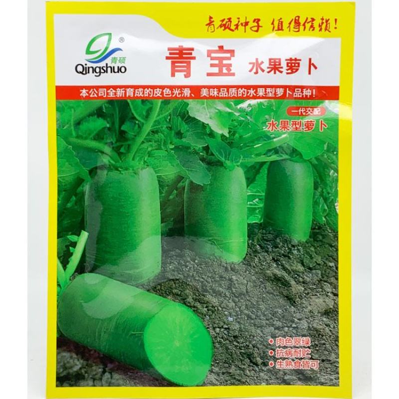 青宝水果萝卜种子青皮青肉圆筒型青萝卜种子20克袋装发货