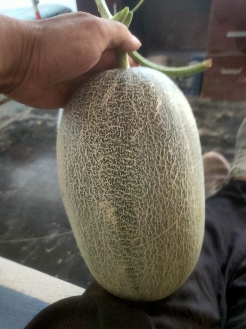 小蜜二十五，质量好，口头甜，耐运输，适合全国各地