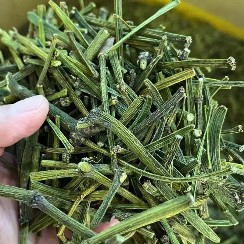 螃蟹脚寄生茶树螃蟹脚颜色绿螃蟹脚