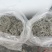 莓茶长寿茶莓茶批发高海拔莓茶，品质上层，回甘清甜