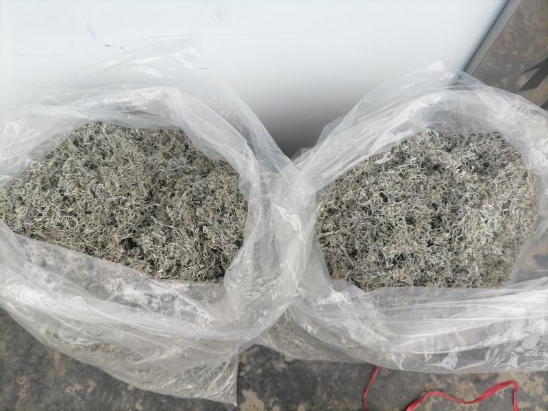 莓茶长寿茶莓茶批发高海拔莓茶，品质上层，回甘清甜
