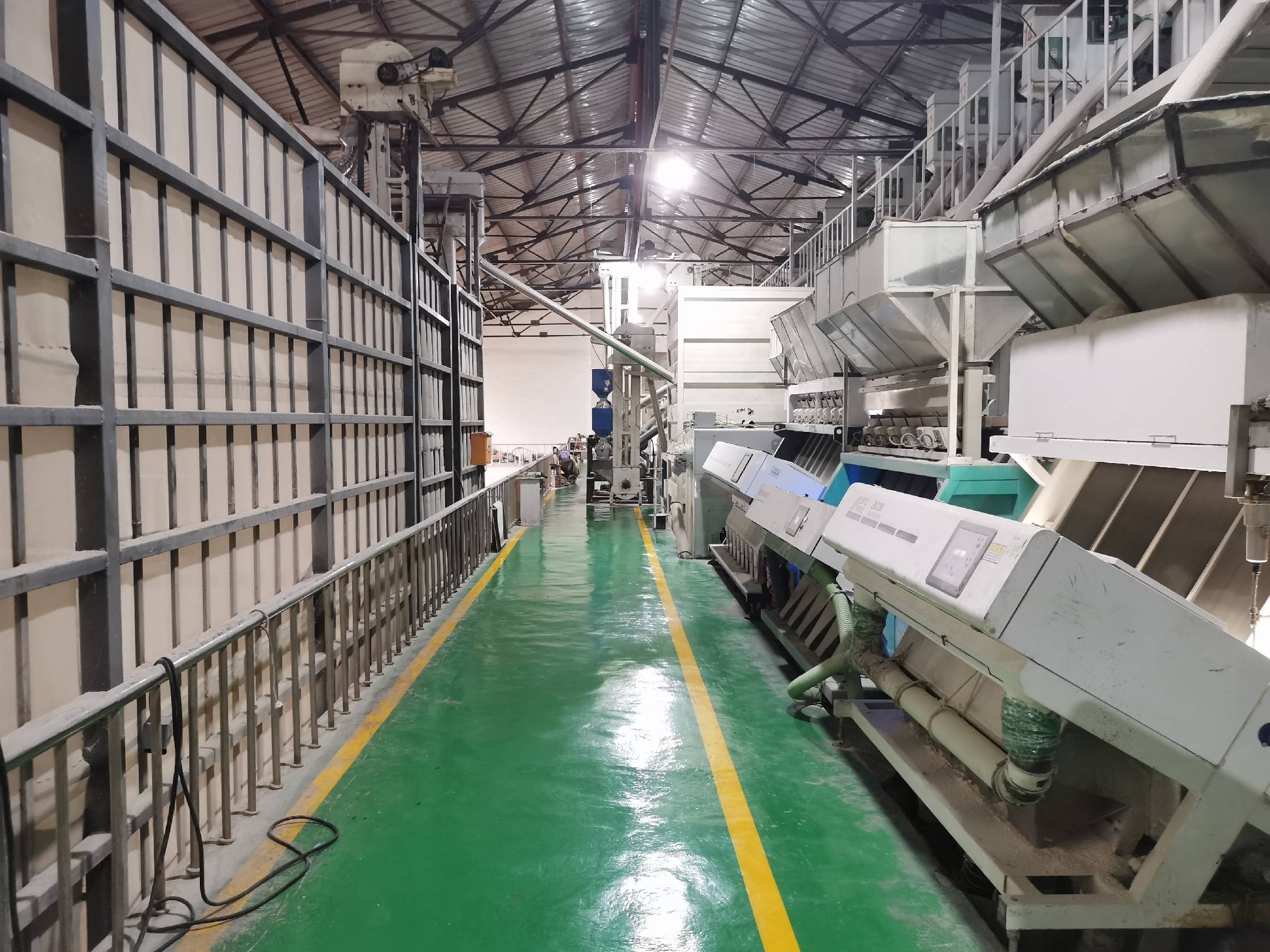 糯玉米深加工生产线