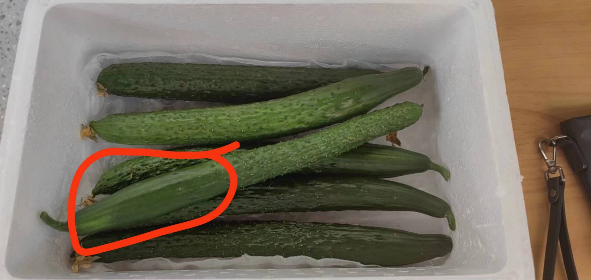 新鲜翠绿的黄瓜切片摆放在白色盘子上,旁边配有酸奶酱和柠檬片 黄瓜生吃