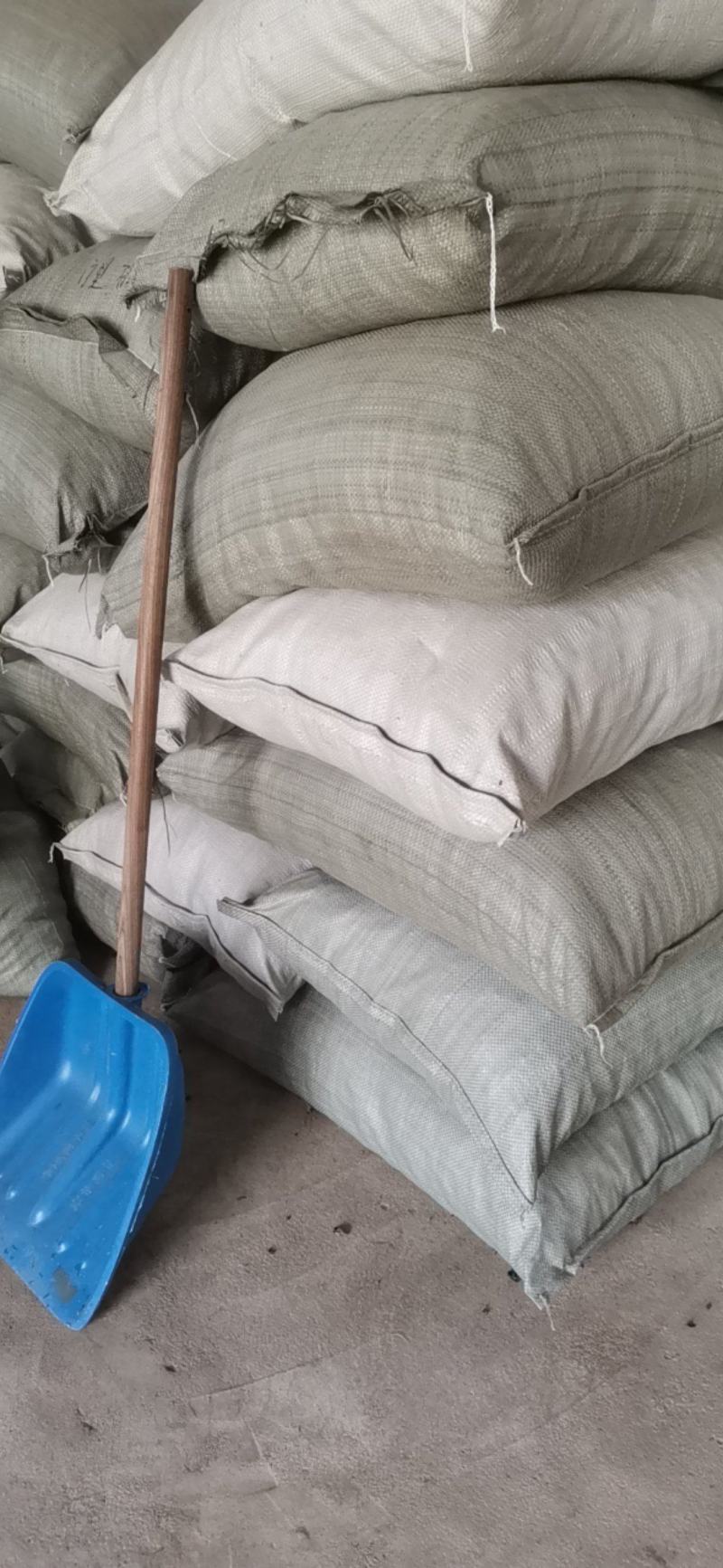 东北黑木耳头茬大棚黑木耳头茬单片型好原干原包