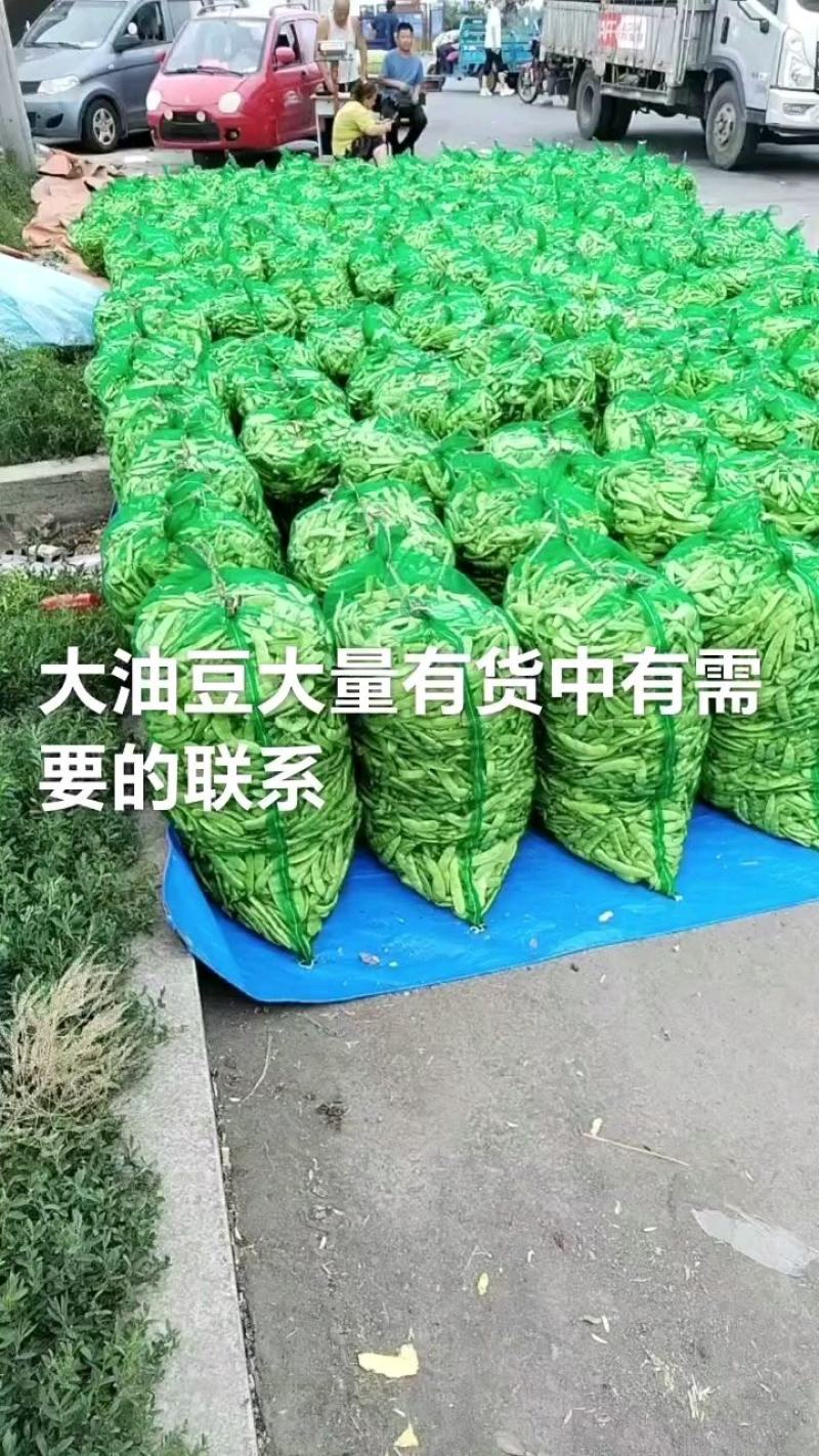 东北大油豆上市，大量有货，保证质量，需要的联系！