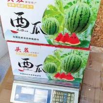 大量批发精品小吊瓜