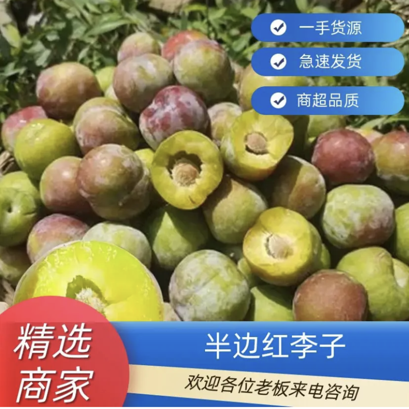 四川半边红大量现货供应，可接电商，市场，商超