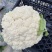 温州菜花有机花菜大量上市青梗白面小米粒货量充足包您满意