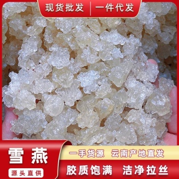 拉丝雪燕多规格一手货源雪燕大货批发货源稳定量大价优