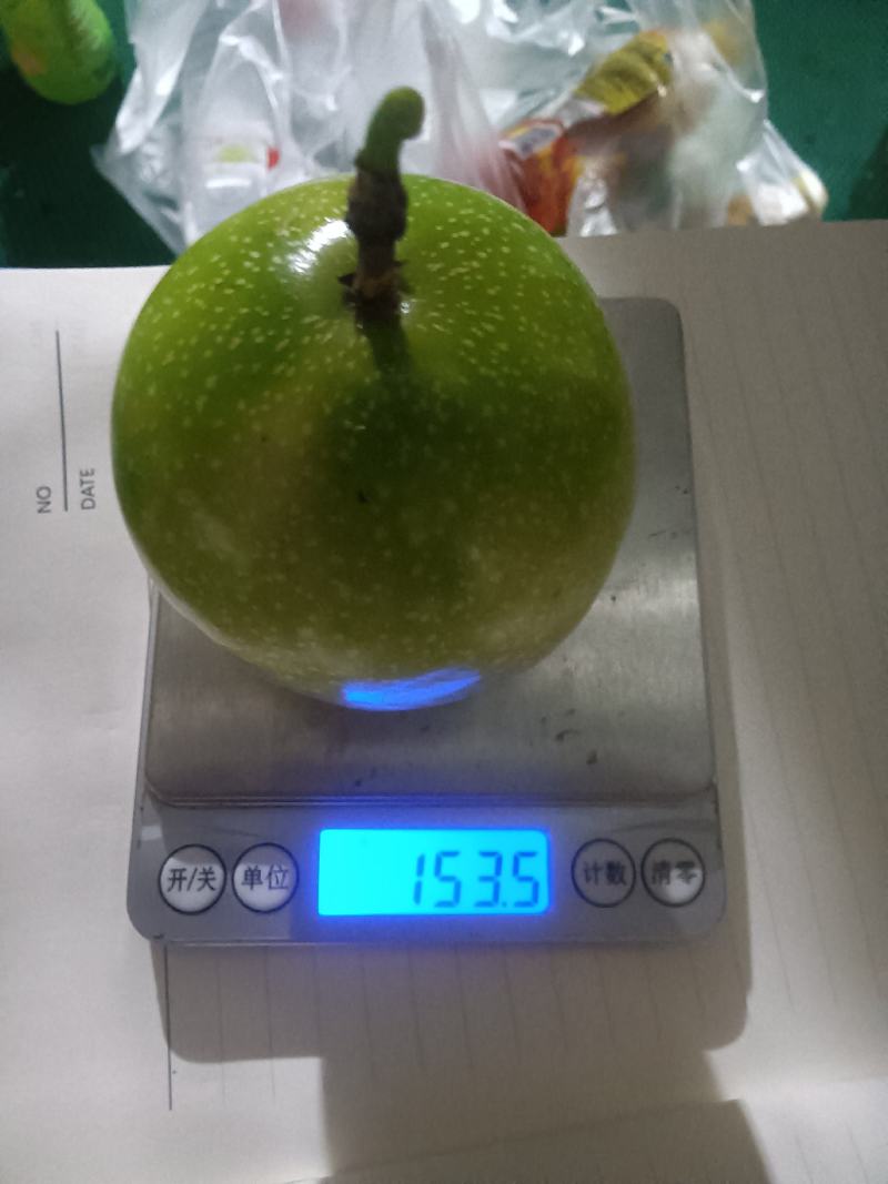 百香果/九号苗/黄金百香果/纯甜的黄金百香果量大从优