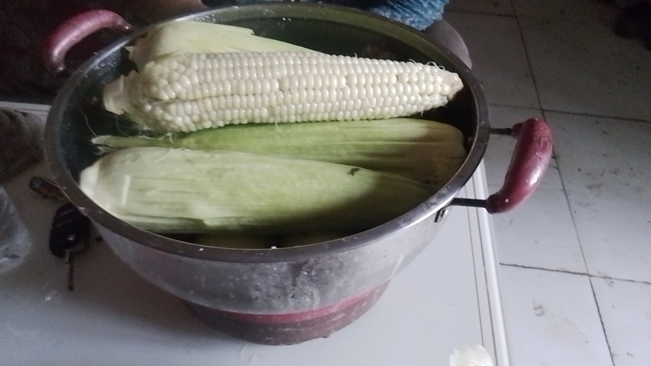 煮玉米
