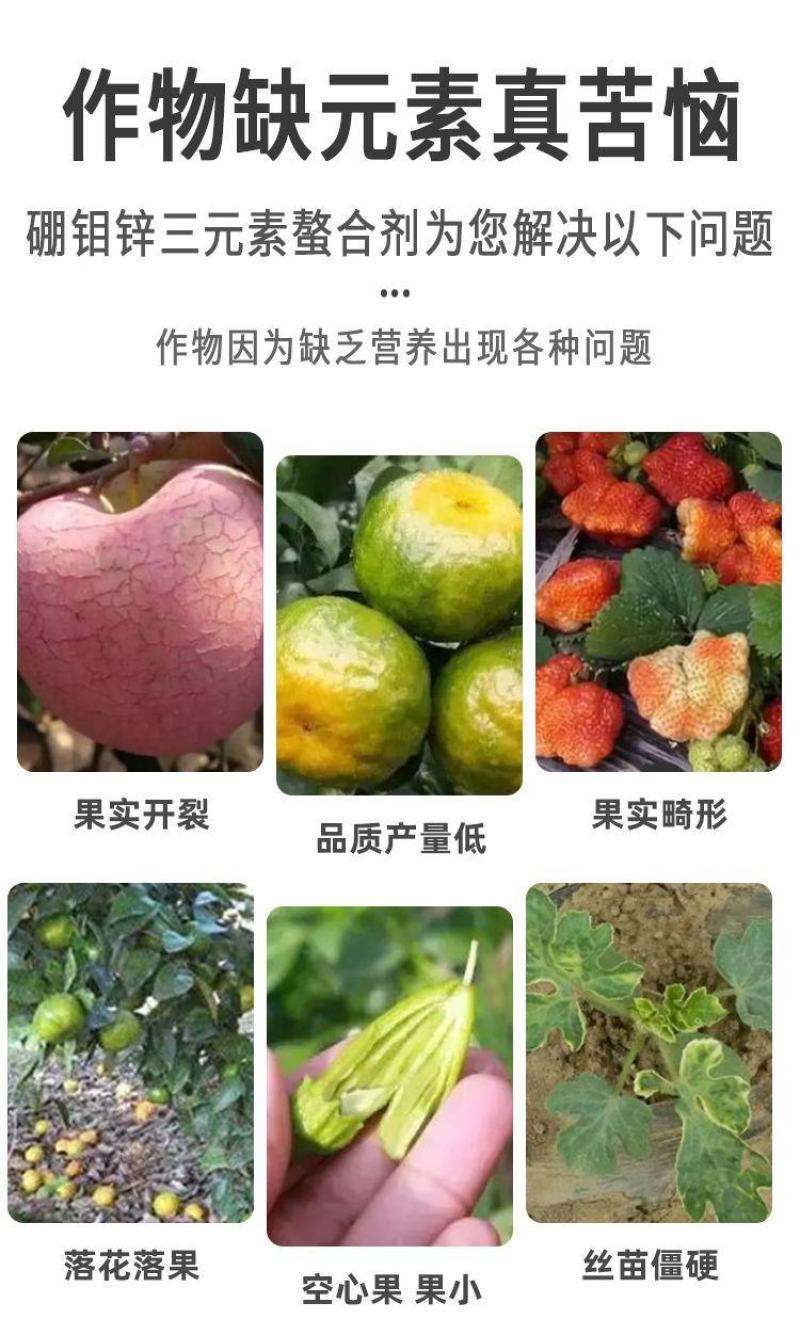 硼钼锌肥叶面肥水溶微量元素蔬菜果树花卉花生大豆作物农用肥