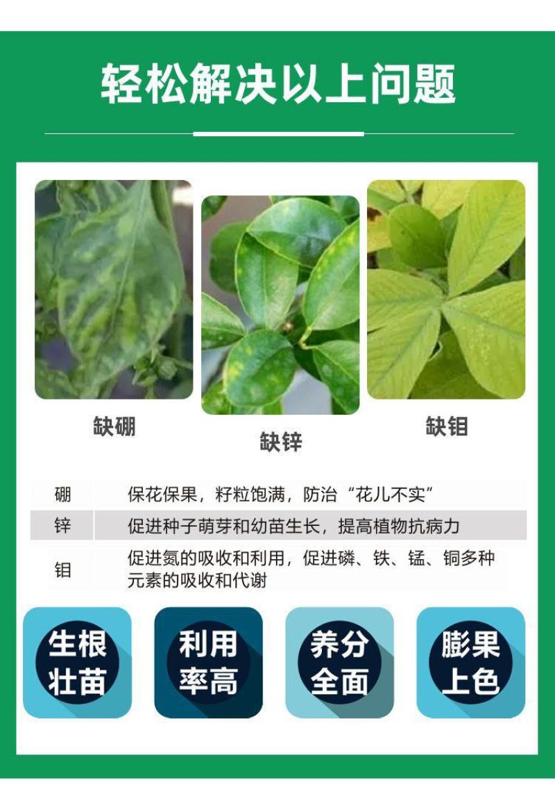 硼钼锌肥叶面肥水溶微量元素蔬菜果树花卉花生大豆作物农用肥