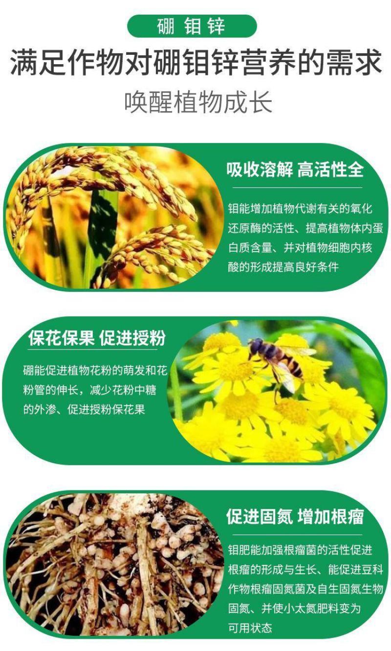 硼钼锌肥叶面肥水溶微量元素蔬菜果树花卉花生大豆作物农用肥