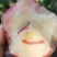 自家的桃树，有想吃的联系，价格优惠