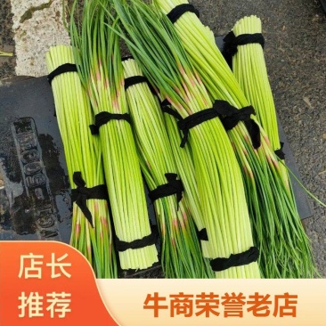 【河南红帽蒜薹】【产地直发】【60～70cm】
