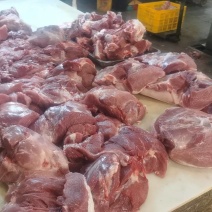 母猪二四混装猪肉四号肉腊肠专用品质保证全国发货量大从优