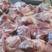 母猪二四混装猪肉四号肉腊肠专用品质保证全国发货量大从优