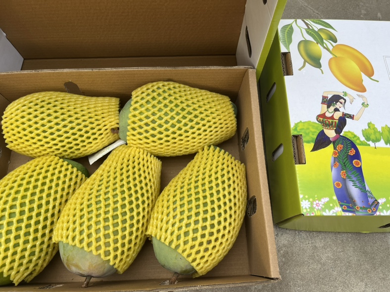 金煌芒奶昔成品图