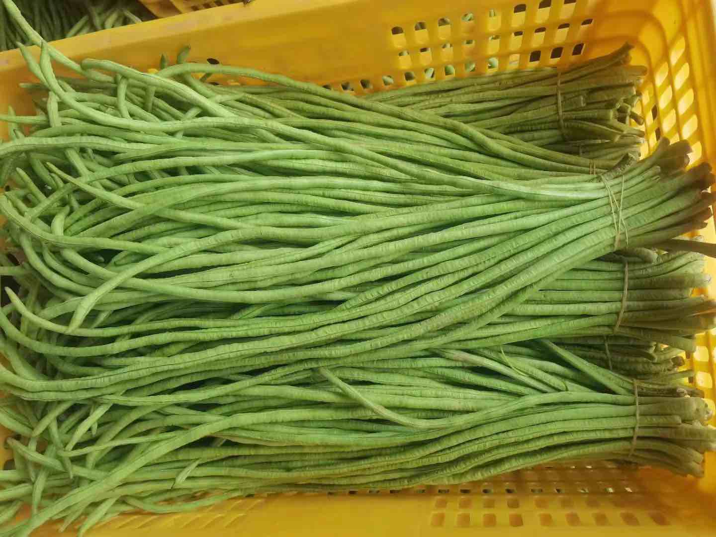 超市冷柜豆腐标签特写：三款主流品牌豆腐包装，清晰标注“原料：黄豆”“原料：大豆（黄大豆）”“配料：黄豆、饮用水、食品添加剂（硫酸钙）”