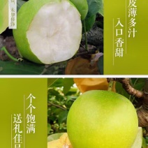 【青黄冠梨】产地供应，果型端正无渣糖度高口感脆甜全国代发