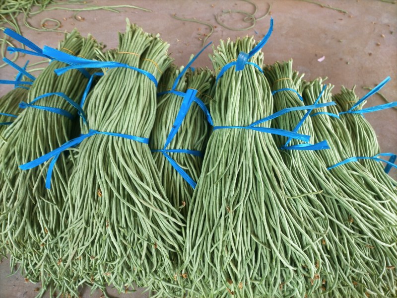 青长豆角，