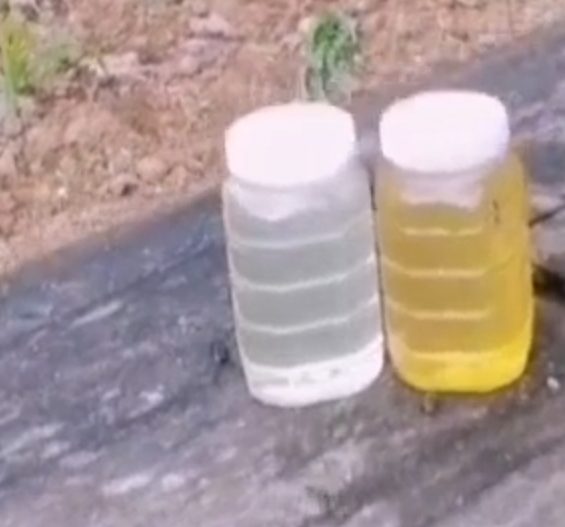 蜂蜜柠檬水冲泡温度对比图