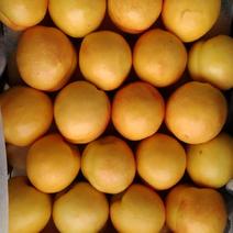 精品黄油桃