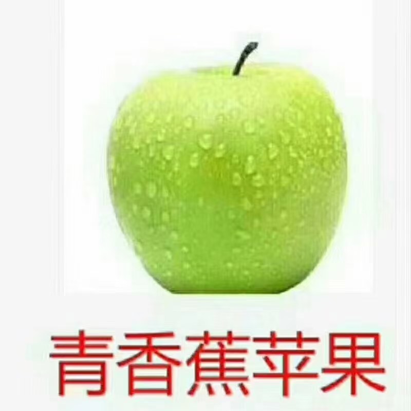 云南昭通青香蕉苹果