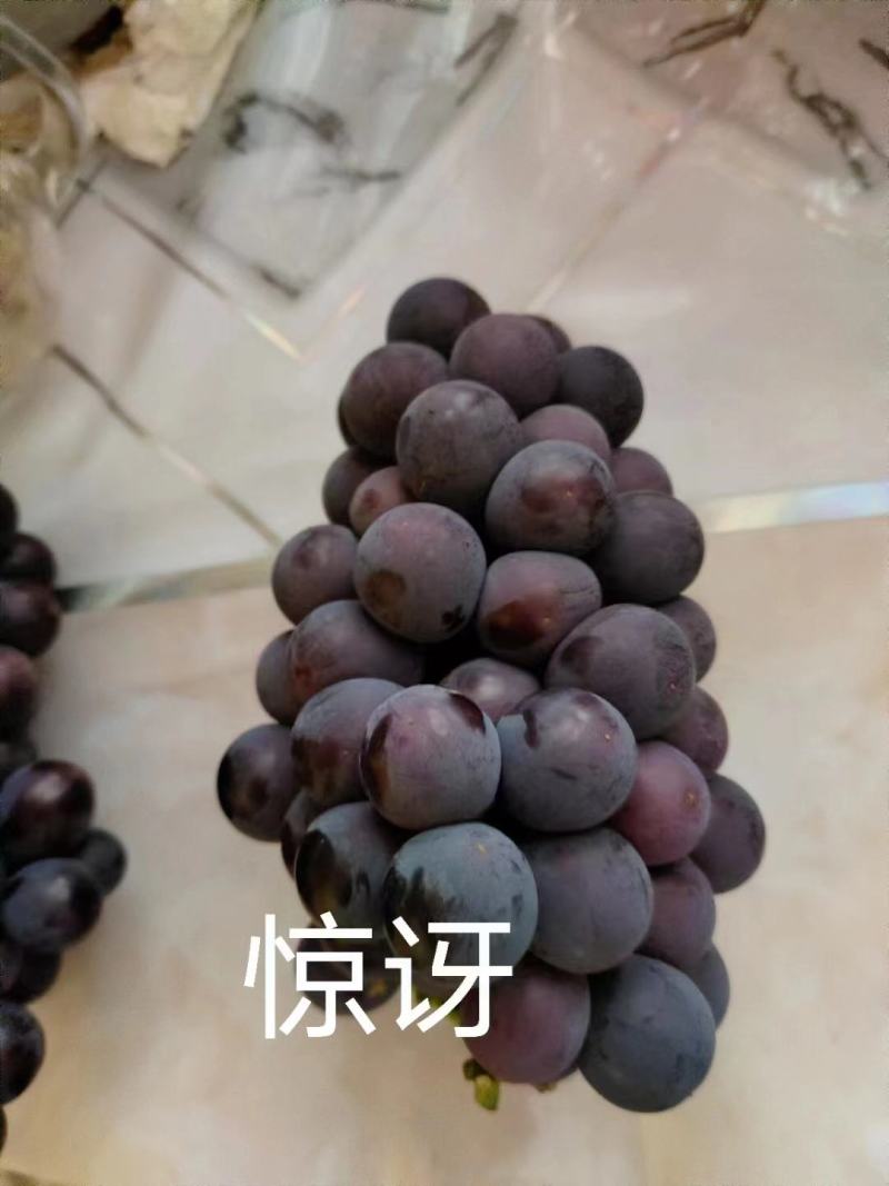 京亚葡萄