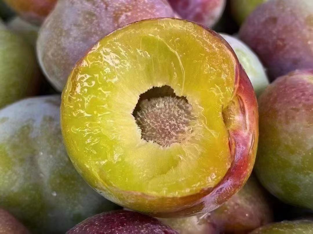 半边红李子切开图