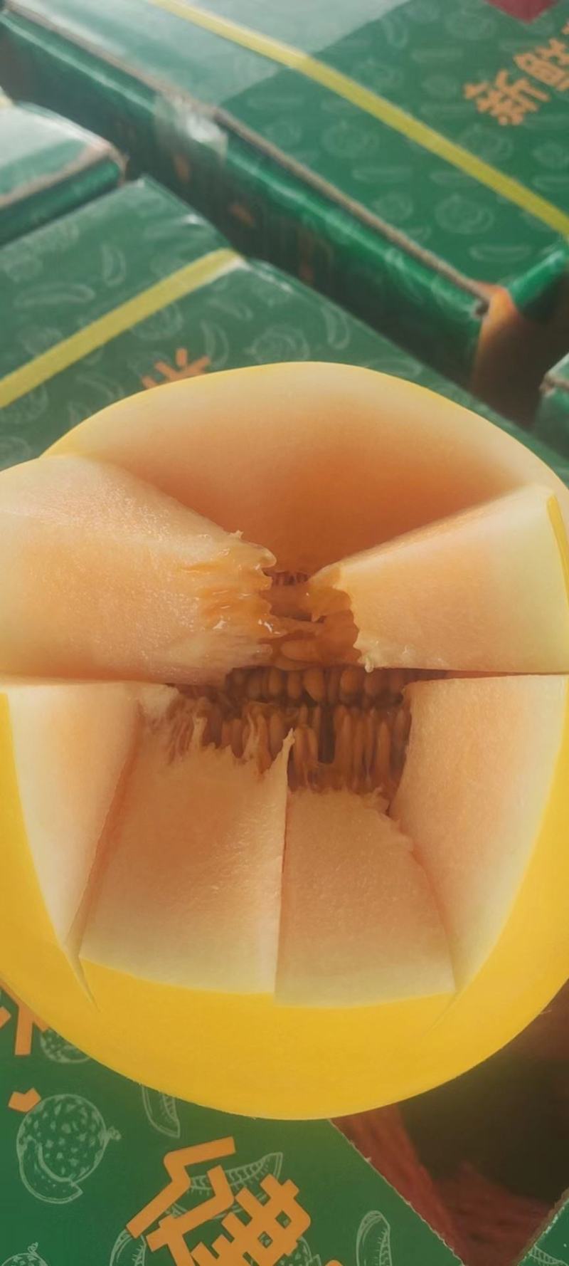 久红瑞甜瓜