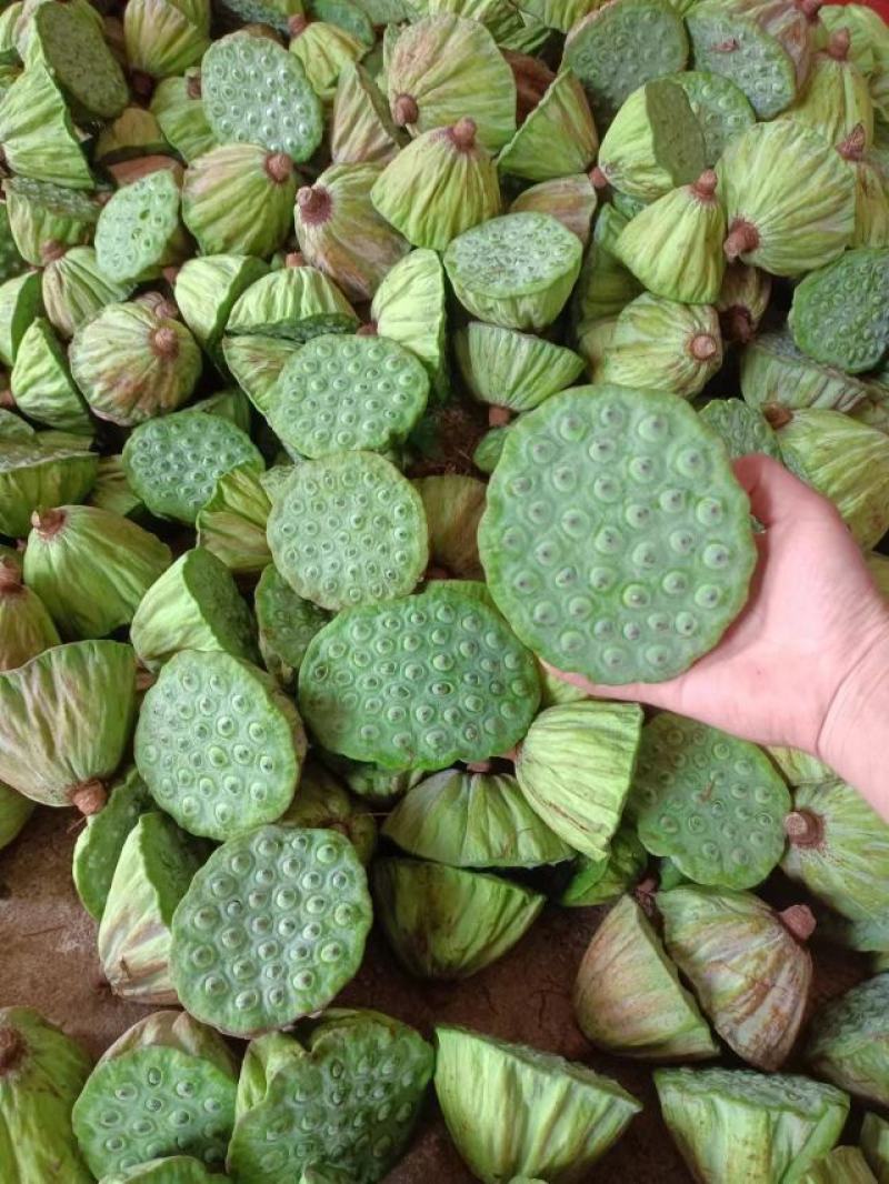 新鲜莲蓬