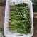 铁杆青香菜大量上市