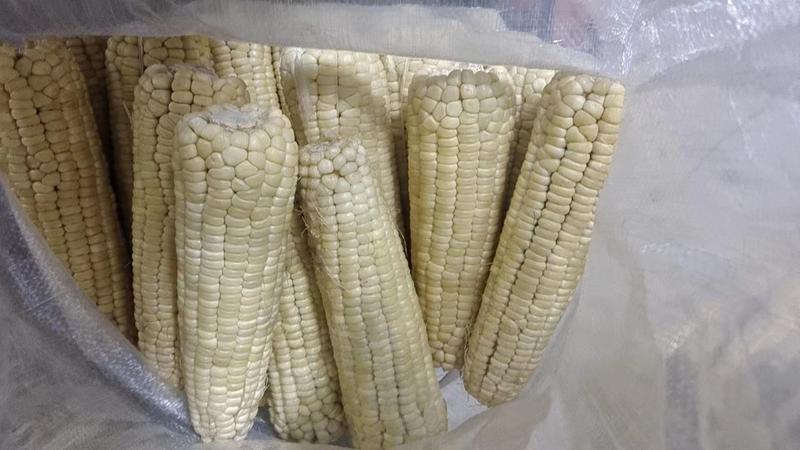 速冻糯玉米厂家直销基地玉米万糯2000速冻熟玉米