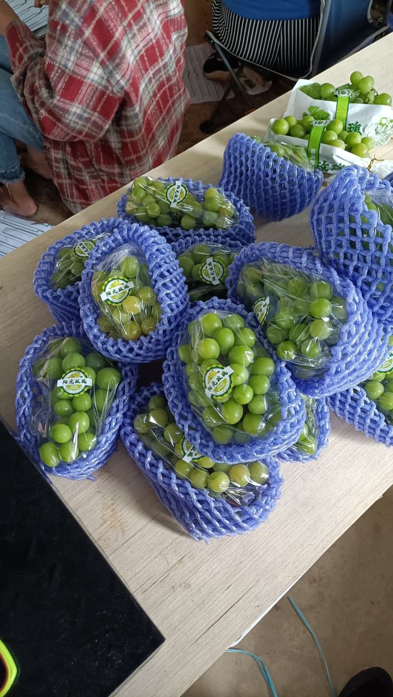 阳光玫瑰希拉果
