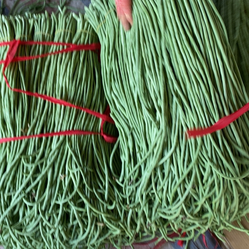 露地精品长豆角大量上市！产地直发，可视频看货！