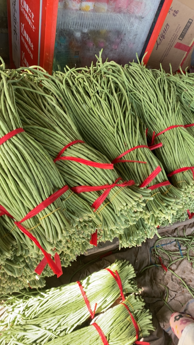 露地精品长豆角大量上市！产地直发，可视频看货！