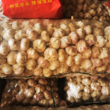 精品大蒜